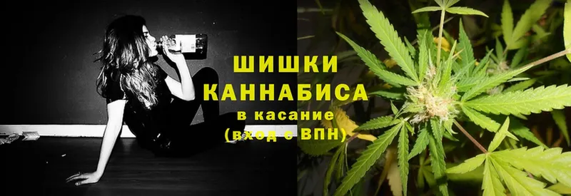 Конопля SATIVA & INDICA  где можно купить   Невинномысск 